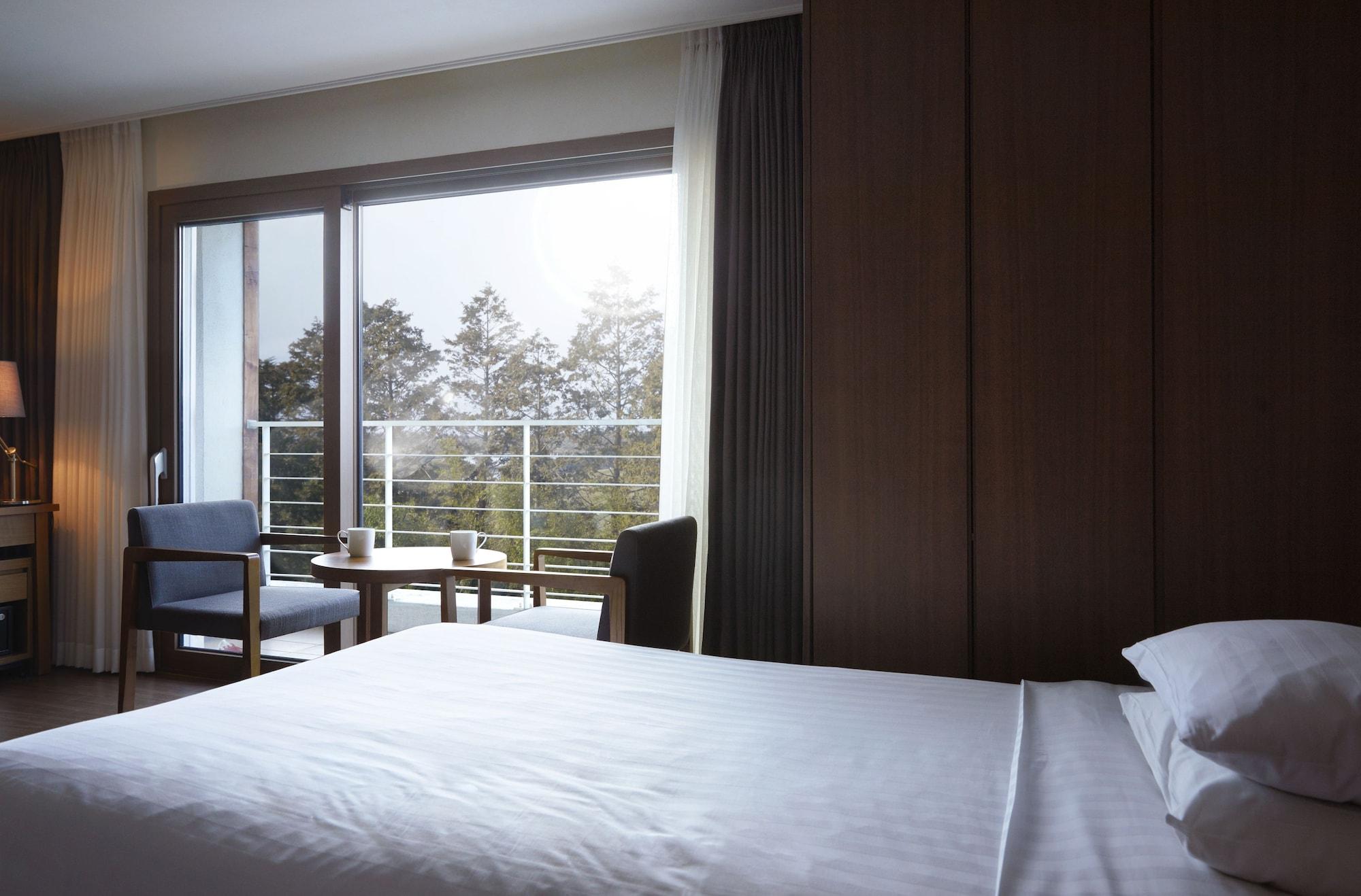 Jeju Aerospace Hotel Szogüpho Kültér fotó