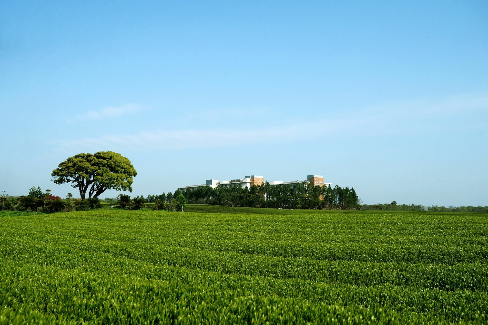 Jeju Aerospace Hotel Szogüpho Kültér fotó