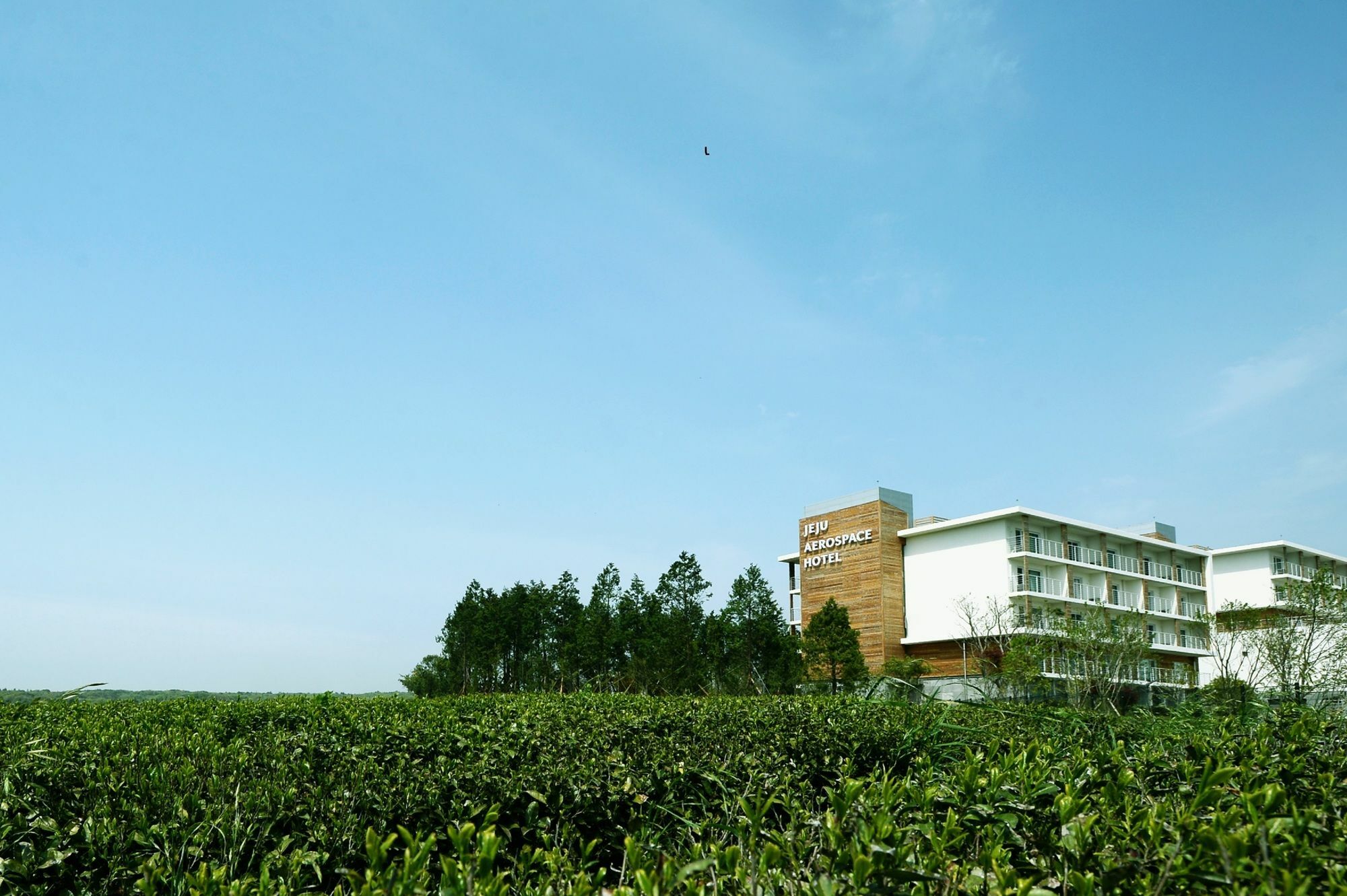 Jeju Aerospace Hotel Szogüpho Kültér fotó
